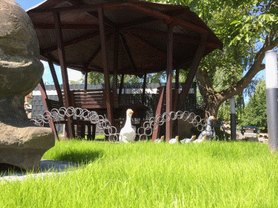 Pavillion